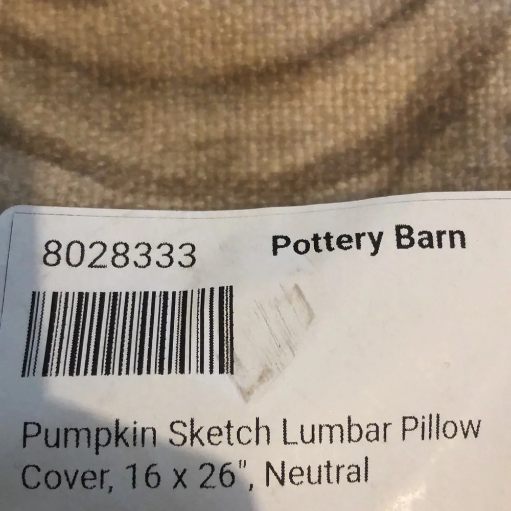 Pottery barn pillow cover